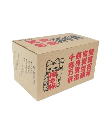 Maneki Neko Japonês outlet