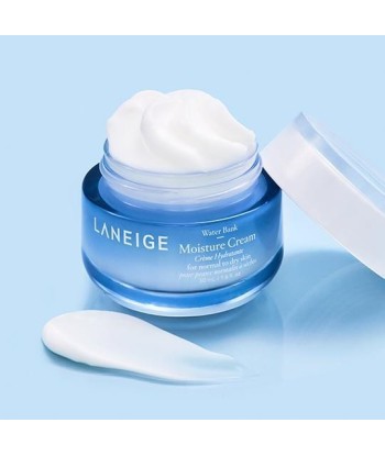 [Laneige] Water Bank Moisture Cream 50ml Pour